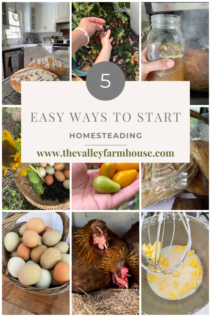Pinterest 5 easy ways to start homesteading