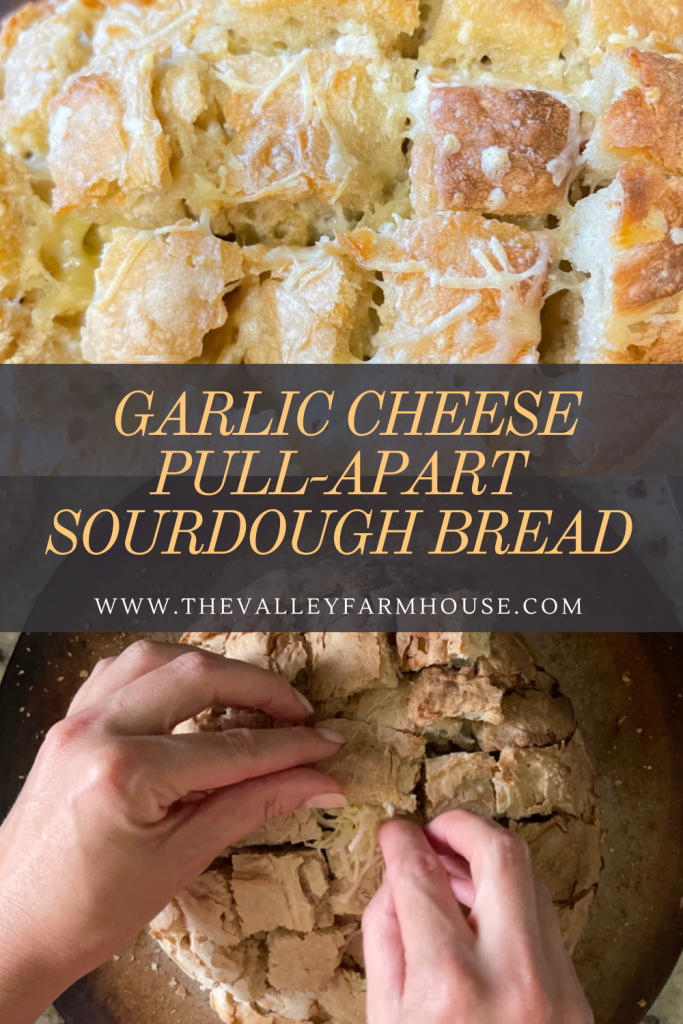Pinterest graphic of garlic cheese pull apart sourdough bread.