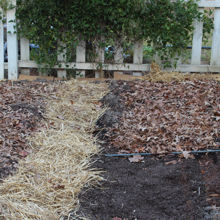 mulch over garden beds for winterizing